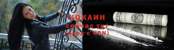 ECSTASY Алзамай