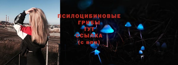 ECSTASY Алзамай
