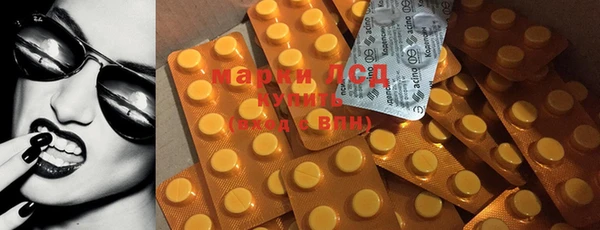 ECSTASY Алзамай